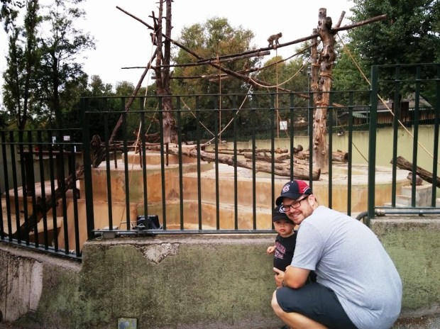 The awesome monkey island