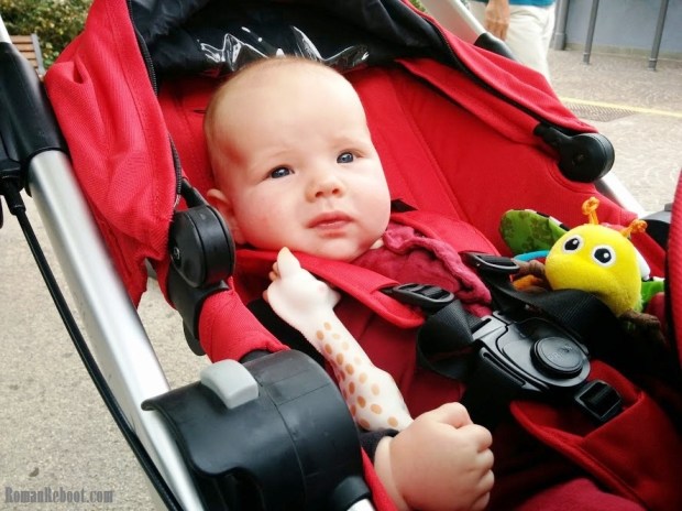 Ready to see some animals