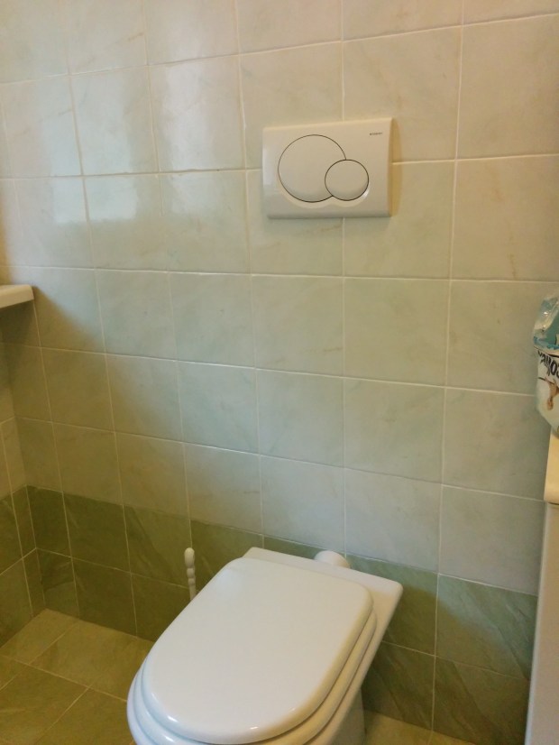 Choose your own adventure!  Big flush or small: you decide!