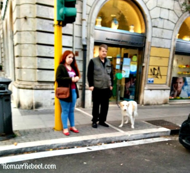 Blurry, but an excellent representation of the vest.  Many more vest pics to come.