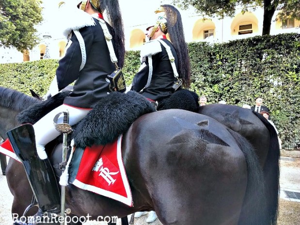 They have star rumps!  How do they even do that???